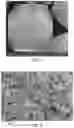 Fig. 05 - Cu/CuO interface nanostructures for electrochemical COreduction