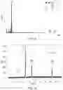 Fig. 06 - Cu/CuO interface nanostructures for electrochemical COreduction