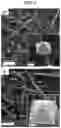 Fig. 02 - METHOD FOR PREPARING METAL CATALYST
