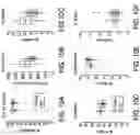 Fig. 12 - Randomized configuration targeted integration of nucleic acids