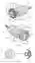 Fig. 09 - KNITTING MACHINE AND KNITTING METHOD