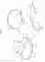 Fig. 17 - Laundry treating apparatus