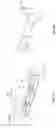 Fig. 09 - Laundry treating apparatus