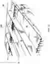 Fig. 09 - Erosion control mat system