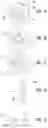 Fig. 02 - ESCUTCHEON