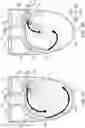 Fig. 03 - Toilet device