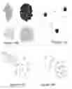 Fig. 38 - SYSTEMS, DEVICES, AND METHODS FOR DETECTING AND DIAGNOSING SUBSTANCES