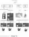 Fig. 44 - SYSTEMS, DEVICES, AND METHODS FOR DETECTING AND DIAGNOSING SUBSTANCES