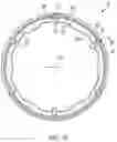 Fig. 20 - ROOF DRAIN