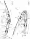 Fig. 06 - Clevis-sensing adjustable hook latch