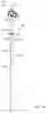 Fig. 16 - Roller blind actuation mechanism, spool housing assembly and cable-covering tube system for a roller blind actuation assembly