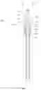 Fig. 08 - Downhole device for hydrocarbon producing wells without conventional tubing