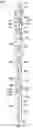 Fig. 06 - Detecting downhole fluid composition utilizing photon emission