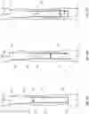 Fig. 05 - DISPENSING AND COLLECTION FLUIDS WITH WIRELINE CHAMBER TOOL