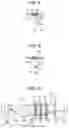 Fig. 07 - Fuel Injection Device and Control Device