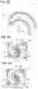 Fig. 03 - Scroll compressor and process for compressing a gaseous fluid with the scroll compressor