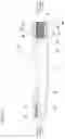 Fig. 13 - Torque transmission shaft
