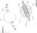 Fig. 23 - CONTINUOUSLY VARIABLE TRANSMISSION