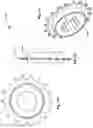 Fig. 65 - CONTINUOUSLY VARIABLE TRANSMISSION