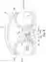 Fig. 04 - Planetary gear and gas turbine engine