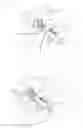 Fig. 11 - Fastener
