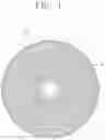 Fig. 02 - LIGHT SOURCE INCLUDING EFFECTIVE REFRACTIVE INDEX CONTROLLING PATTERN