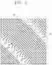 Fig. 03 - LIGHT SOURCE INCLUDING EFFECTIVE REFRACTIVE INDEX CONTROLLING PATTERN