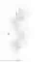 Fig. 06 - Light distribution element and lamp comprising the same