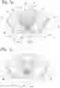 Fig. 03 - LIGHTING FIXTURE
