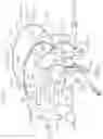 Fig. 03 - Back panel for lighting device and lighting device