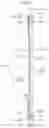 Fig. 05 - Back panel for lighting device and lighting device