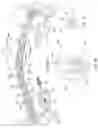 Fig. 16 - Optical face protection apparatus and face protection apparatus