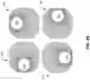 Fig. 05 - Tankless water heater connector