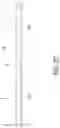 Fig. 08 - HEAT PIPE STRUCTURE AND MANUFACTURING METHOD THEREOF