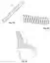 Fig. 06 - Coiled spring