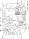 Fig. 24 - DE-COCK MECHANISM FOR A CROSSBOW