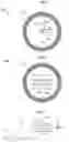 Fig. 02 - SENSOR APPARATUS AND OPERATING METHOD THEREFOR