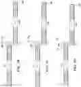 Fig. 05 - Ultrasonic transducer system and method using broadband system responses
