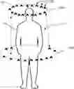 Fig. 01 - Sample collection apparatus for scent detection