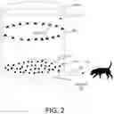 Fig. 03 - Sample collection apparatus for scent detection