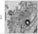 Fig. 10 - ADSORPTION AND BINDING OF PLASMA MOLECULES AND PARTICLES TO CARBON