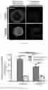 Fig. 12 - SYSTEM AND METHOD FOR QUANTIFYING MECHANICAL PROPERTIES OF A CELL
