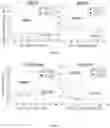 Fig. 13 - SYSTEM AND METHOD FOR QUANTIFYING MECHANICAL PROPERTIES OF A CELL