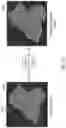 Fig. 12 - SYSTEMS AND METHODS FOR AUTOFOCUS AND AUTOMATED CELL COUNT USING ARTIFICIAL INTELLIGENCE