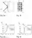 Fig. 03 - Method and apparatus for determining optical properties of a sample material