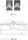 Fig. 13 - Optical system and assay chip for probing, detecting and analyzing molecules