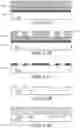 Fig. 26 - Optical system and assay chip for probing, detecting and analyzing molecules