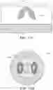 Fig. 54 - Optical system and assay chip for probing, detecting and analyzing molecules