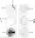 Fig. 06 - Methods and apparatus for detecting defects in semiconductor systems