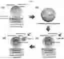 Fig. 02 - SENSING MATERIAL FOR HIGH SENSITIVITY AND SELECTIVITY